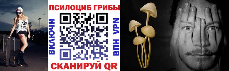 Галлюциногенные грибы Cubensis  купить наркотики сайты  Юрьевец 